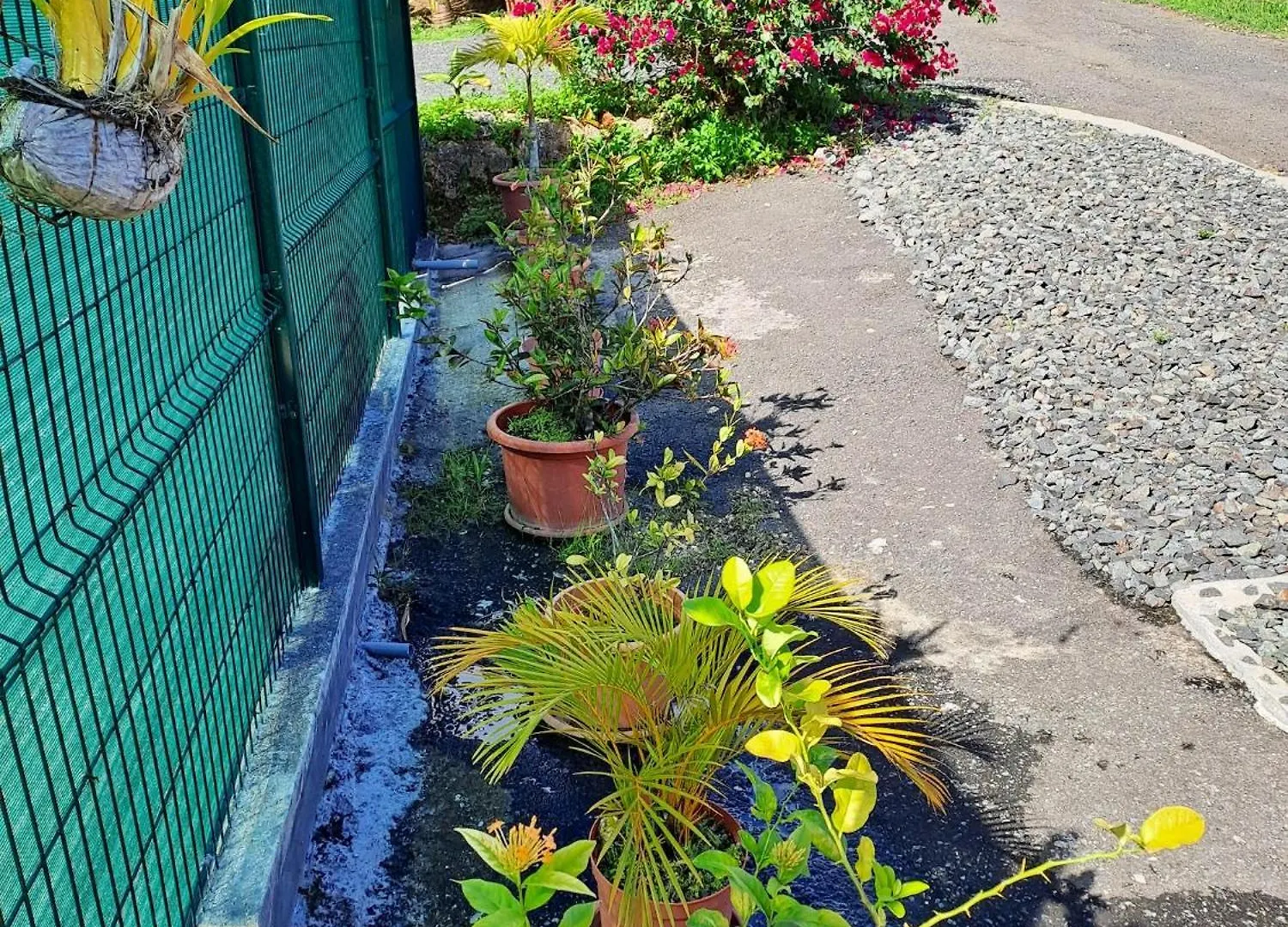 Maison Charmante A Petit-Bourg Avec Piscine Partagee Guadeloupe